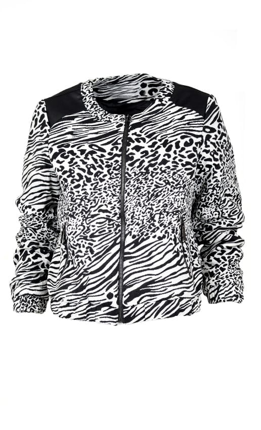 Zebra Jacket – shoparchief, foto 1