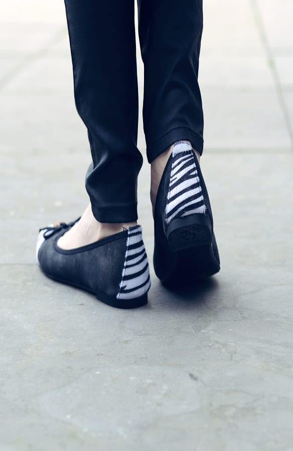 Zazzy Zebra Ballerina – shoparchief, foto 3