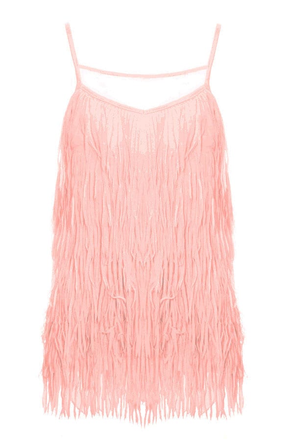 Franjes Top Zalm – shoparchief, foto 1