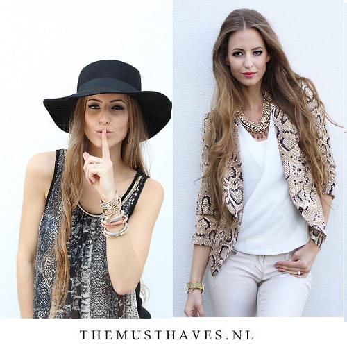 The Musthaves Model