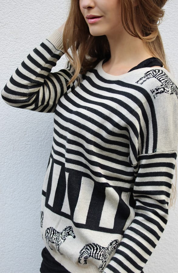 Most Wanted Zebra – shoparchief, foto 3
