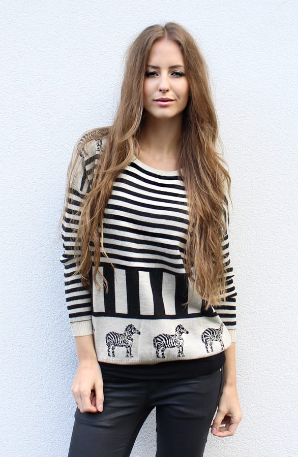 Most Wanted Zebra – shoparchief, foto 2