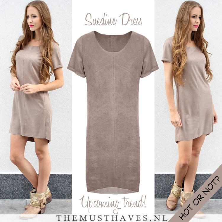 Trends suède kleding Musthaves
