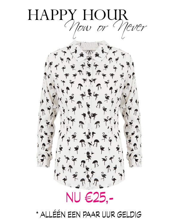Happy Hour Flamingo met KORTING! OP=OP – shoparchief, foto 1