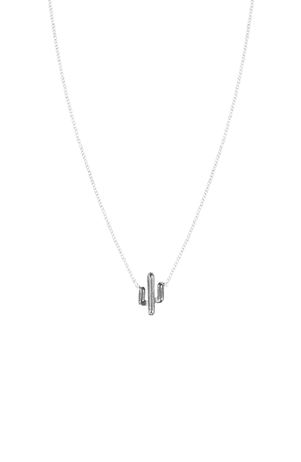 Cactus Necklace Zilver – shoparchief, foto 1