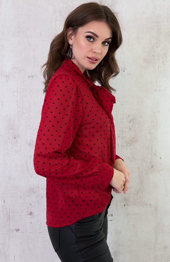 Sterrenprint Velours Blouse Rood – shoparchief, foto 4