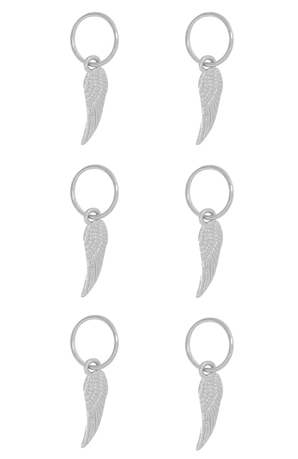 Braid Rings Wings Zilver – shoparchief, foto 1