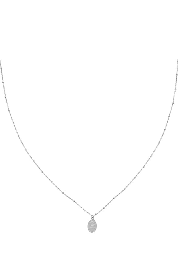 Roses Ketting Zilver – shoparchief, foto 1