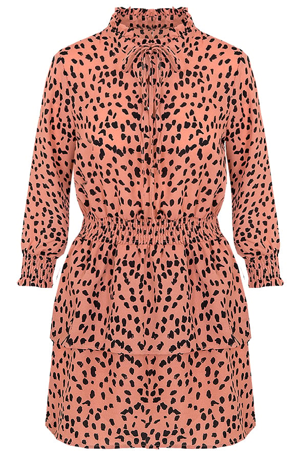 Print Jurk Roze – shoparchief, foto 1