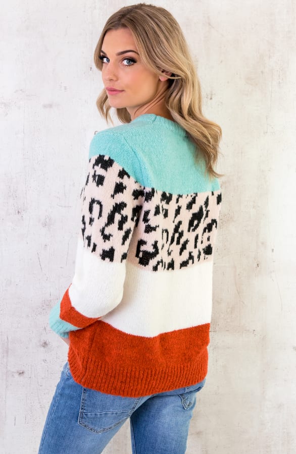 Panter Streep Trui Roze – shoparchief, foto 3