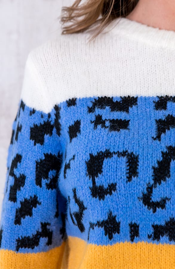 Panter Streep Trui Blauw – shoparchief, foto 5