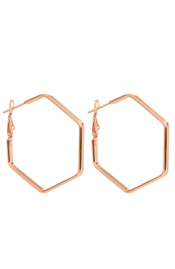 Oorbellen Zeshoek Rose – shoparchief, foto 1
