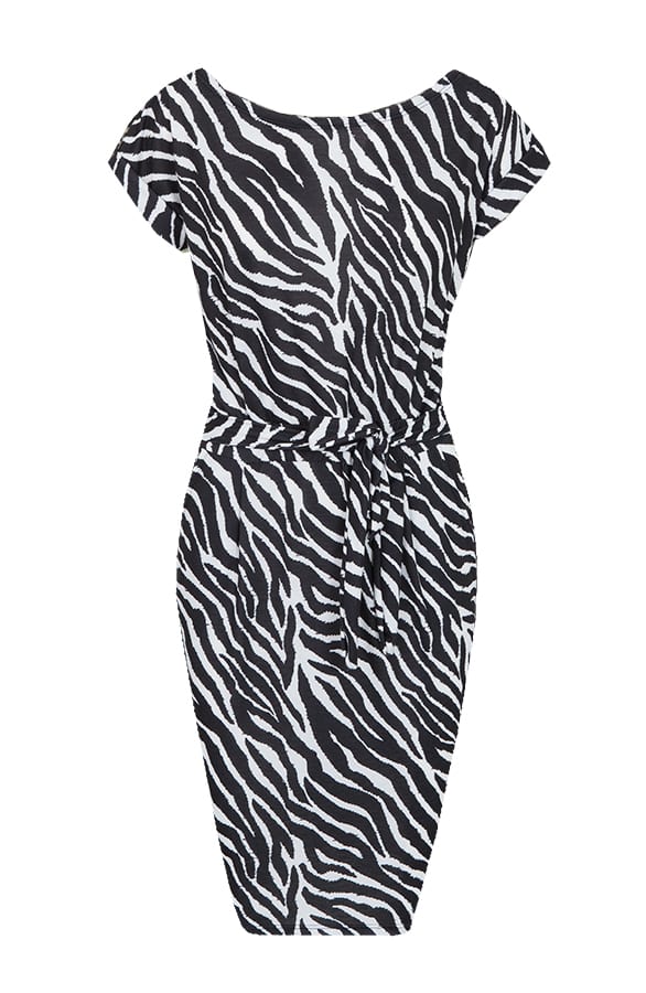 Strik Jurk Zebraprint – shoparchief, foto 1