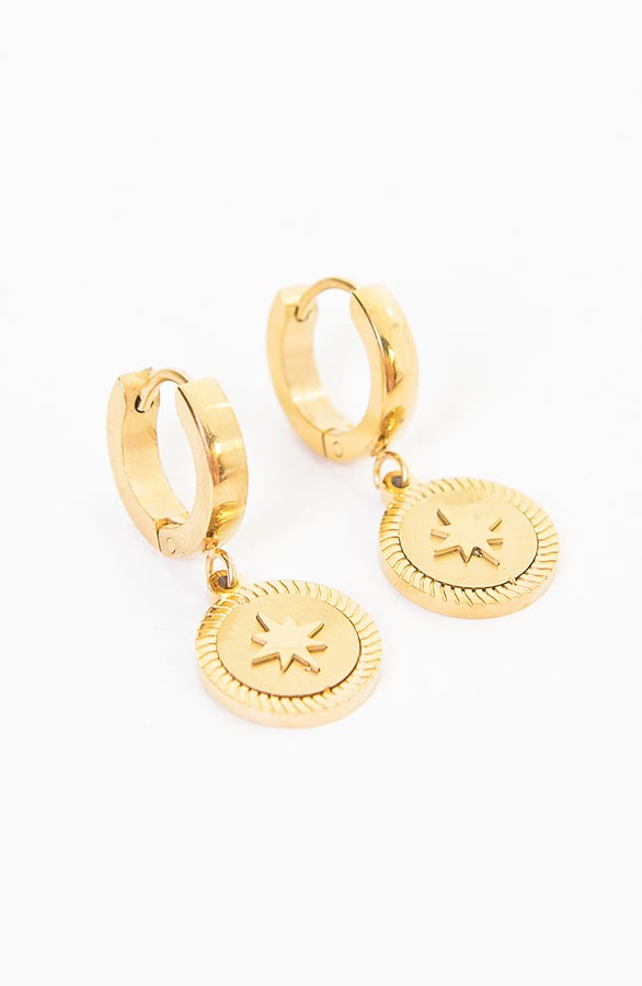 Oorbellen Luxury Star Goud – shoparchief, foto 4