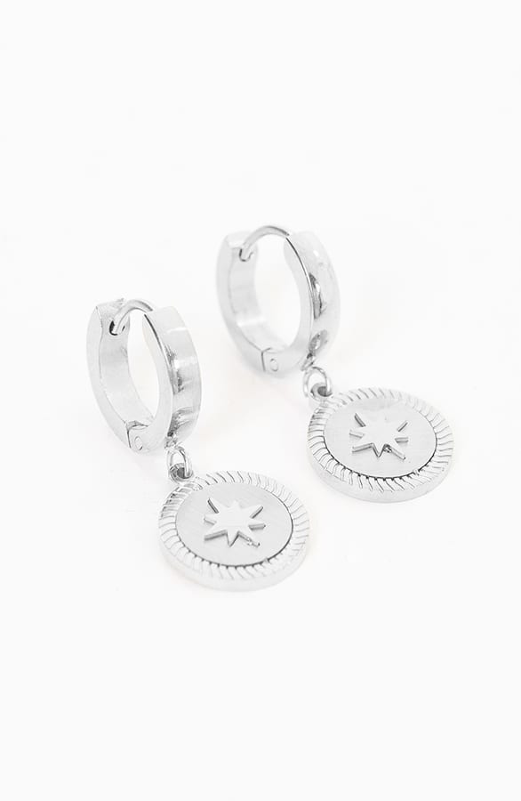 Oorbellen Luxury Star Zilver – shoparchief, foto 5