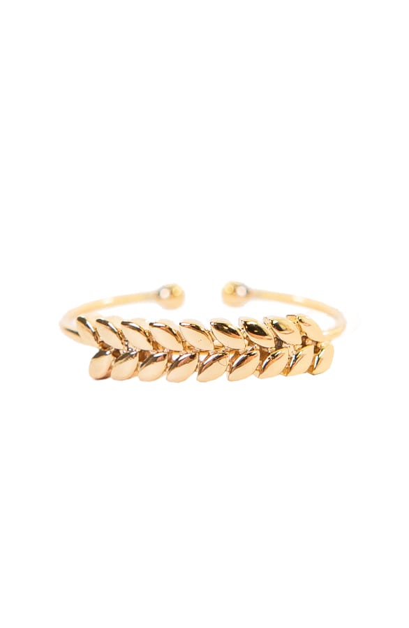 Ring Feather Goud – shoparchief, foto 1
