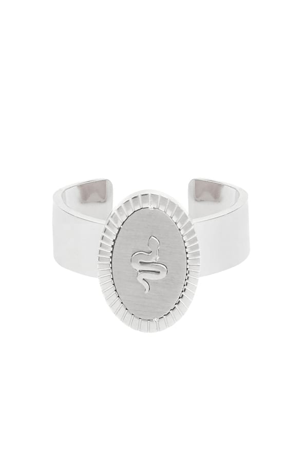 Zegelring Snake Zilver – shoparchief, foto 1