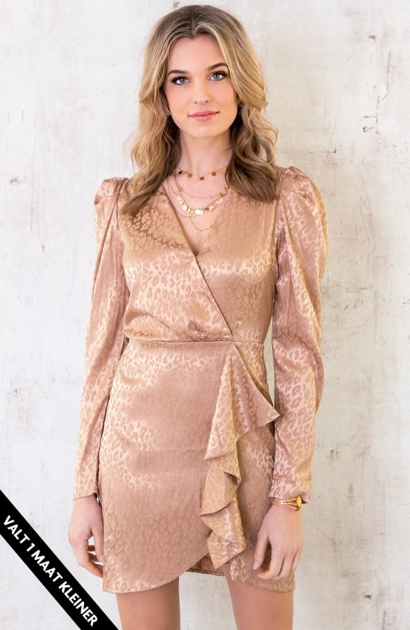 Zijden Leopard Jurk Champagne – shoparchief, foto 1