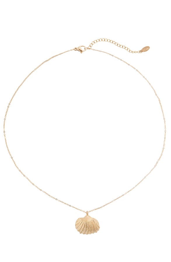 Schelp Ketting Goud – shoparchief, foto 1