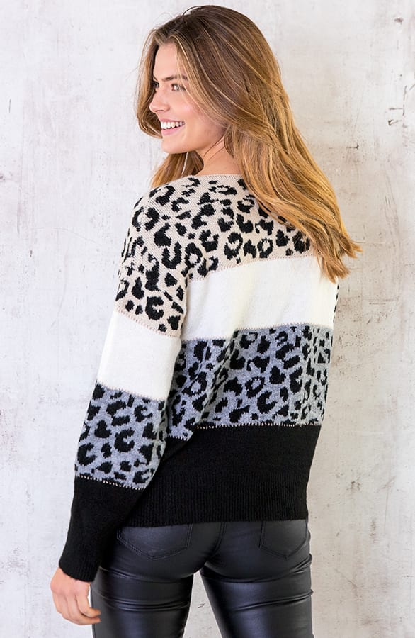 Gestreepte Leopard Trui – shoparchief, foto 3