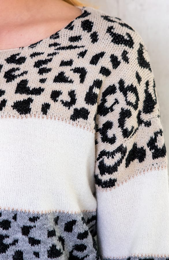 Gestreepte Leopard Trui – shoparchief, foto 4