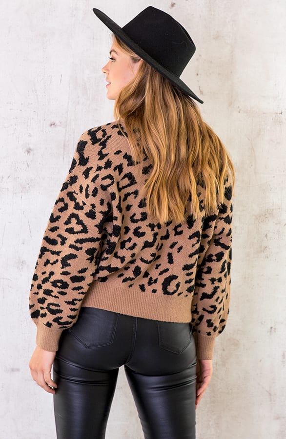 Leopard Amour Trui Taupe – shoparchief, foto 4
