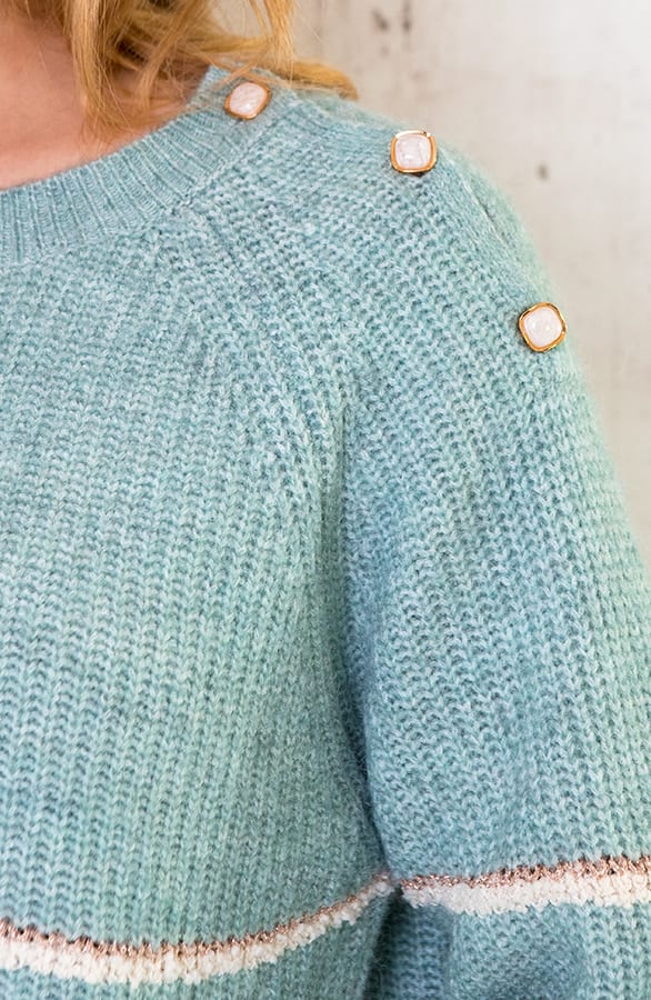 Strepen Knopen Trui Blauw – shoparchief, foto 4
