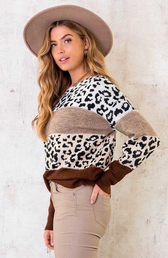 Gestreepte Panter Trui Gebreid Taupe – shoparchief, foto 2