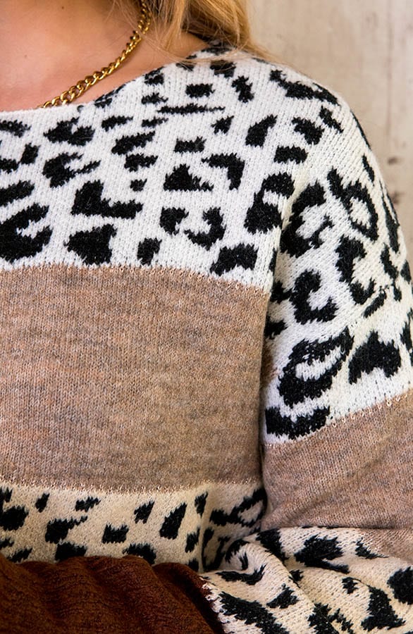 Gestreepte Panter Trui Gebreid Taupe – shoparchief, foto 5