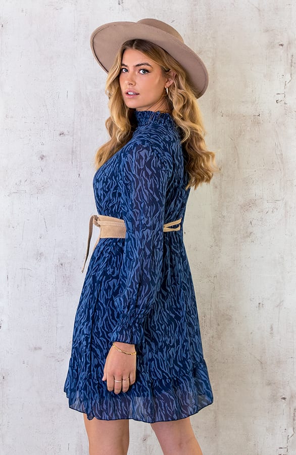 Col Jurk Zebra Blauw – shoparchief, foto 5