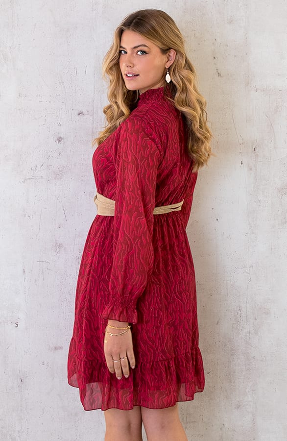 Col Jurk Zebra Roze – shoparchief, foto 6