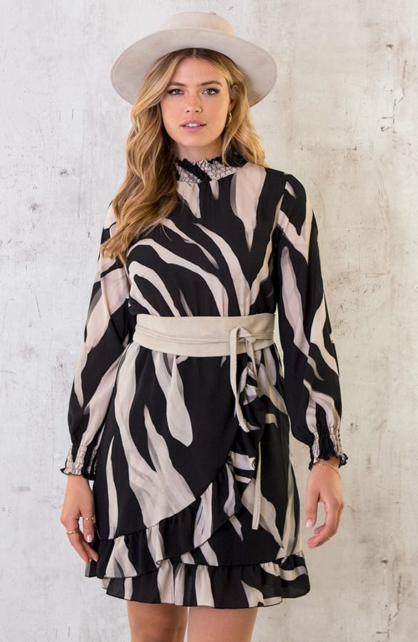 Overslag Col Jurk Zebra – shoparchief, foto 4