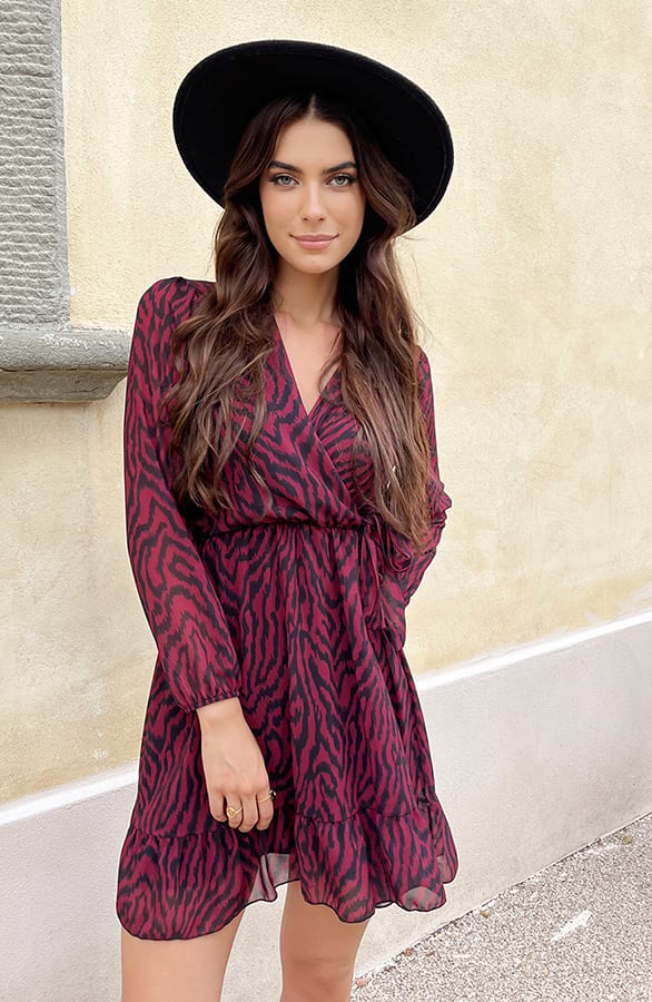 V-hals Strik Jurk Zebra Bordeaux – shoparchief, foto 2