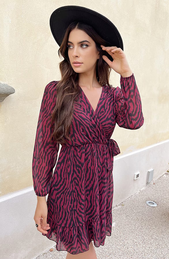 V-hals Strik Jurk Zebra Bordeaux – shoparchief, foto 7