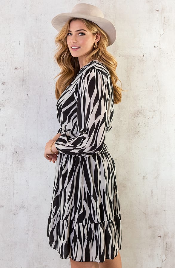 Rüschen Kleid Zebra Schwarz Beige, Shoparchiv, Foto 3
