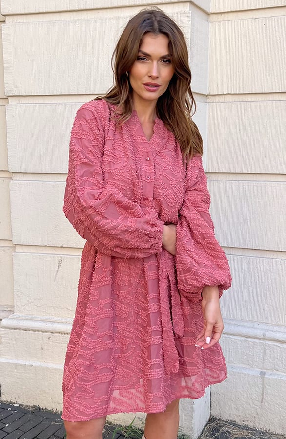 Vienna Jurk Met Wijde Mouwen Dust Roze – shoparchief, foto 3