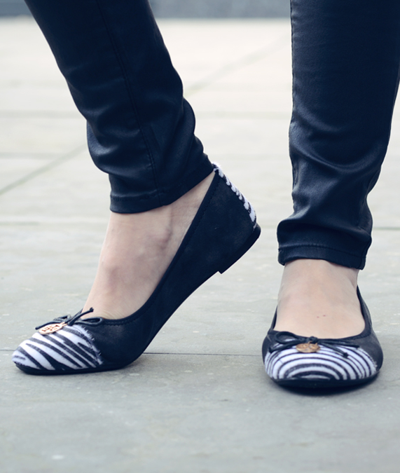 Zazzy Zebra Ballerina – shoparchief, foto 2