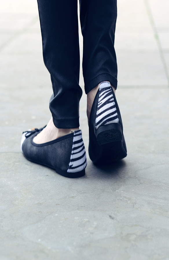 Zazzy Zebra Ballerina – shoparchief, foto 3