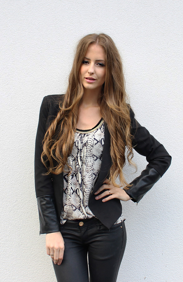 Python Top Light – shoparchief, foto 2