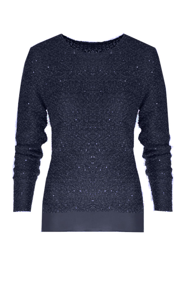 Sequin Sweater Blue – shoparchief
