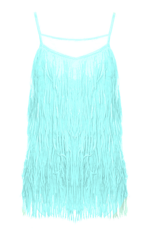 Franjes Top Mint – shoparchief