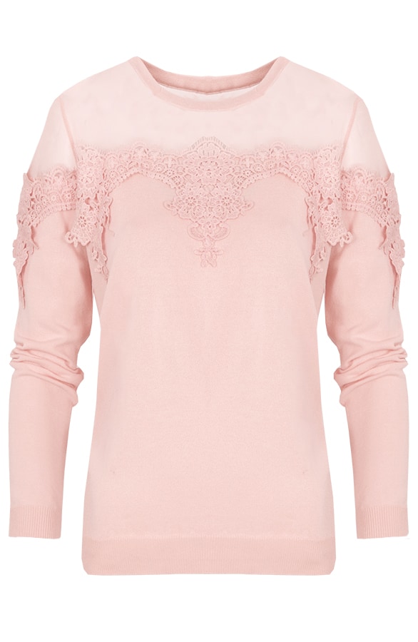 Kanten Mesh Trui Roze – shoparchief