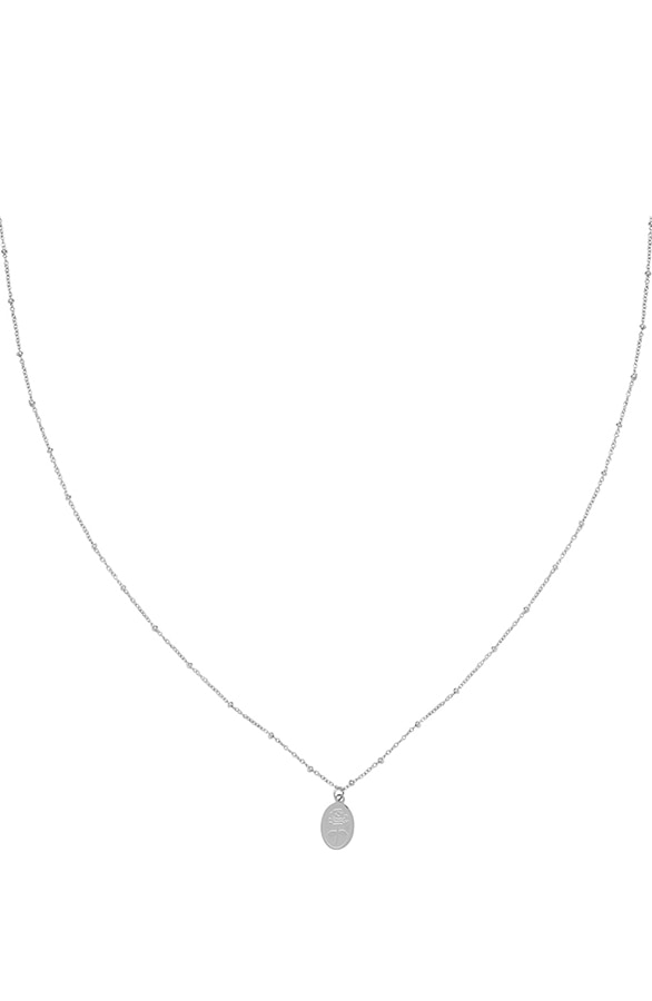 Roses Ketting Zilver – shoparchief