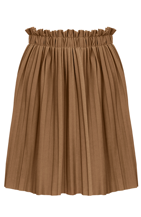Plisse Rok Bruin – shoparchief