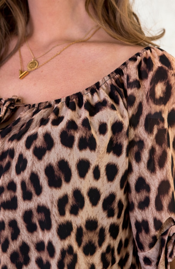 Top Panter Bruin – shoparchief, foto 6