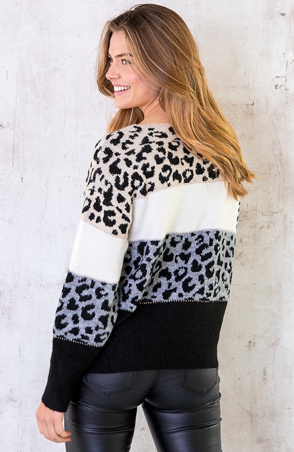 Gestreepte Leopard Trui – shoparchief, foto 3