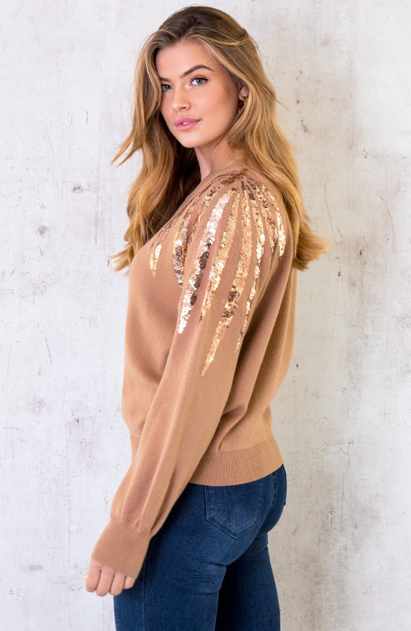 Trui Met Pailletten Camel – shoparchief