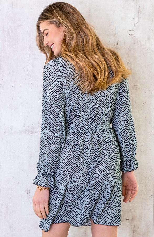 Jurk Met Zebraprint Mint – shoparchief, foto 4