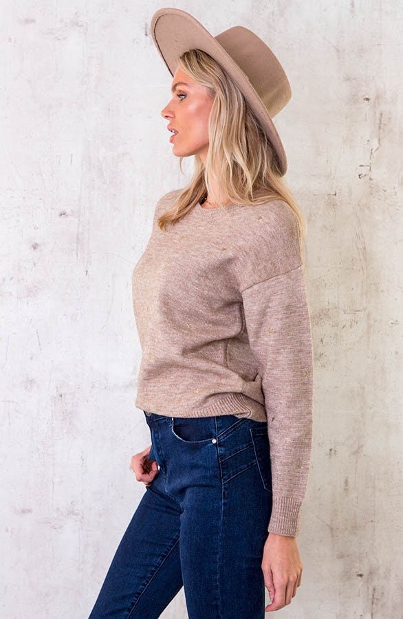 Sterren Sweater Metallic Taupe – shoparchief, foto 3