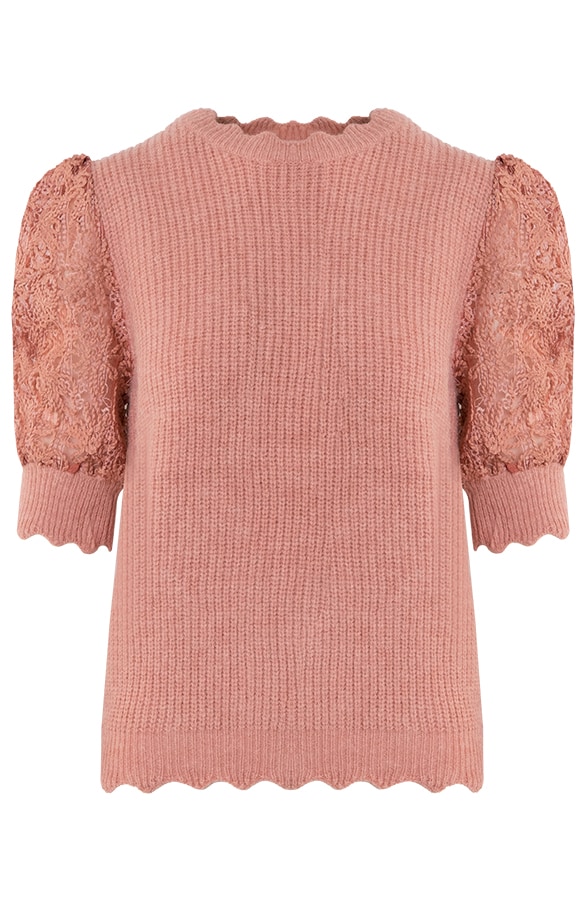 Top Met Kanten Korte Mouw Roze – shoparchief